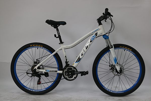 Xe đạp GLX-CX22N