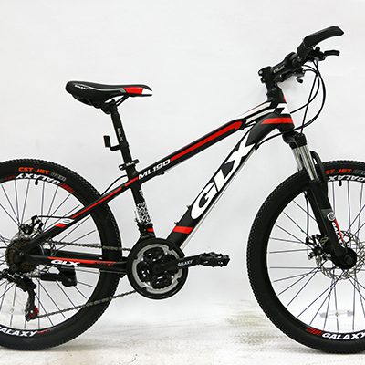Xe đạp GLX-ML190 24"