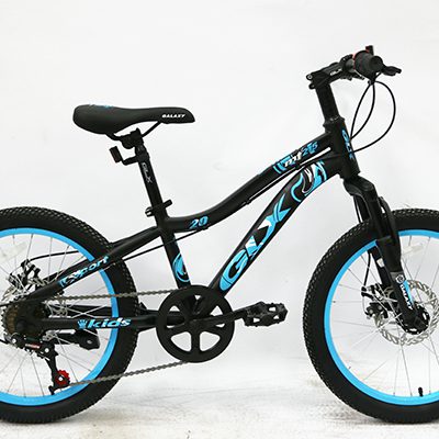 Xe đạp GLX-MT215