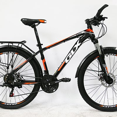 Xe đạp GLX-TX22T